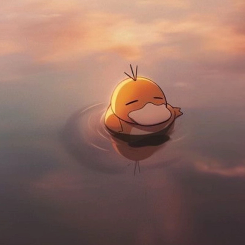 Meet your Posher, Maddie